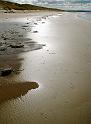 Jovies Neuk